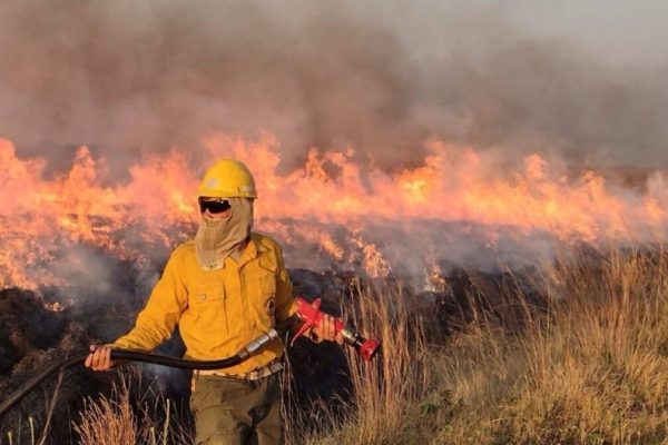 Brigadista trabajan en foco de incendio.