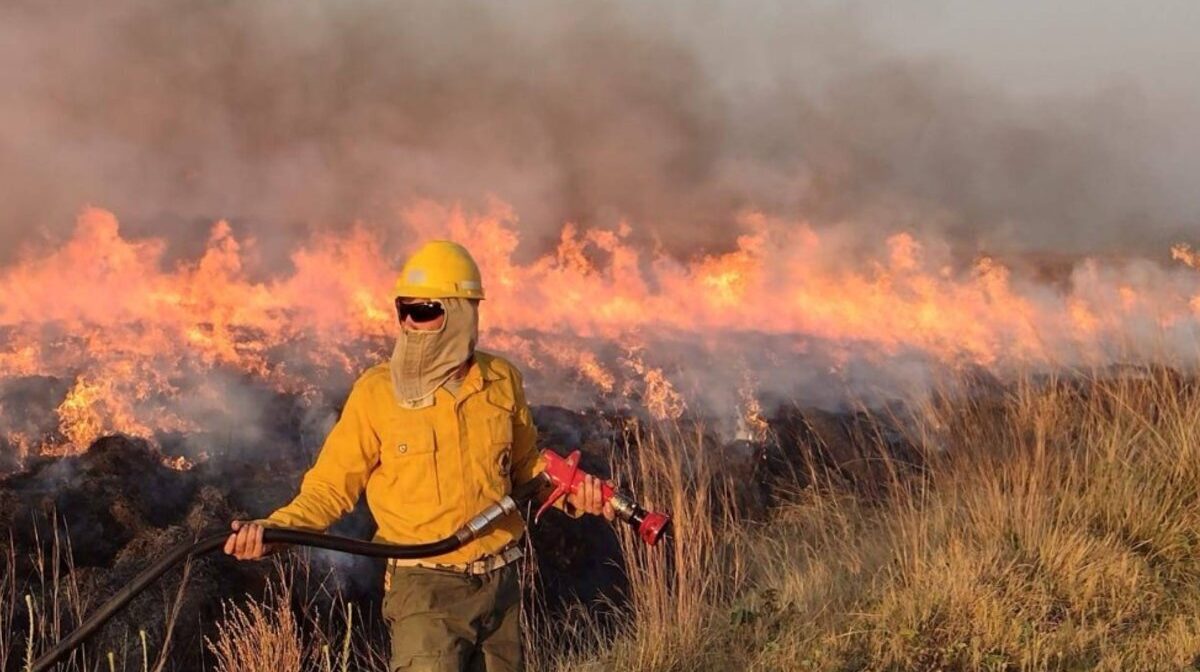 Brigadista Trabajan En Foco De Incendio.